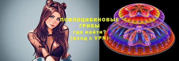 мет Арсеньев