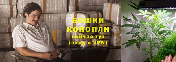 мет Арсеньев